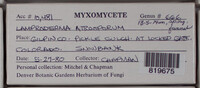 Image Associated With the Occurence